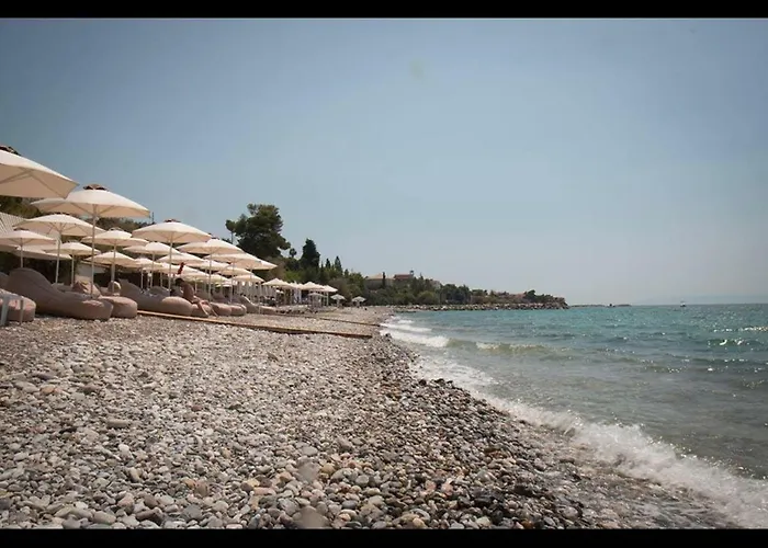 Appartement Filothei *